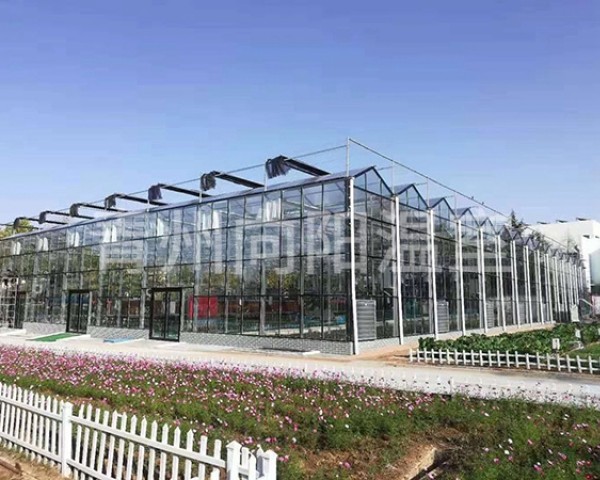 蔬菜大棚